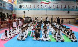 نایب‌قهرمانی ابهر در لیگ استانی تکواندو