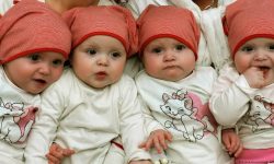 حمایت بهزیستی ابهر از ۱۰۶ خانواده چندقلو