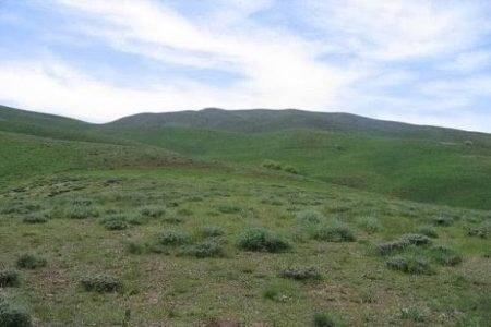 مراتع ابهر، ۴۰ درصد شهرستان را پوشش می‌دهد