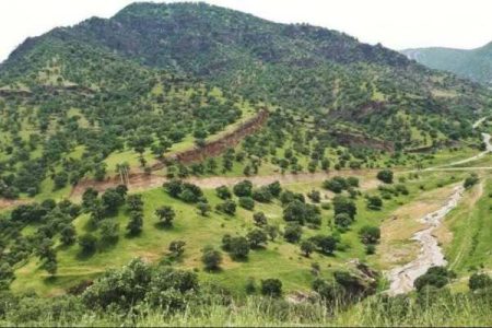 کمبود جنگلبان در عرصه‌های ملی ابهر