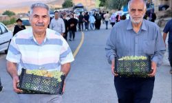 خانههای روستای درسجین میزبان چهارمین جشنواره انگور میشوند