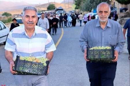 خانه‌های روستای درسجین میزبان چهارمین جشنواره انگور می‌شوند