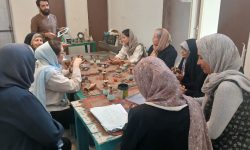 احیاء هنر فیروزهکوبی با آموزش هنرجویان ابهر